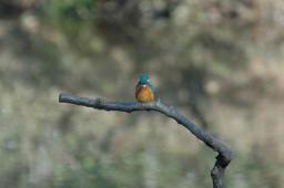 dsc_4654.jpg