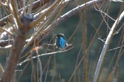 dsc_4690.jpg