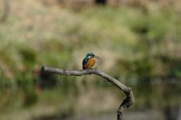 dsc_4715.jpg