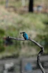 dsc_4719.jpg