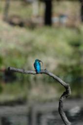dsc_4721.jpg