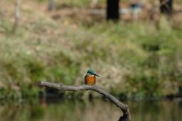 dsc_4758.jpg