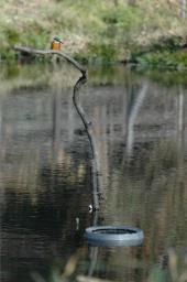 dsc_4760.jpg