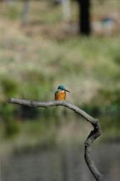 dsc_4761.jpg