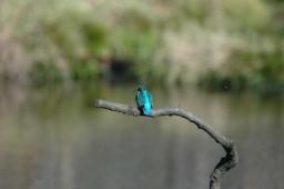 dsc_4771.jpg