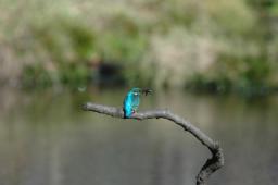 dsc_4772.jpg