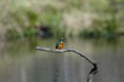 dsc_4776.jpg