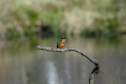 dsc_4777.jpg