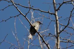 dsc_5590.jpg