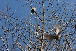 dsc_5591.jpg
