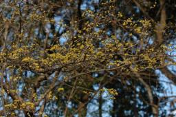 dsc_5610.jpg