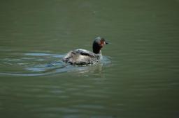 dsc_5612.jpg