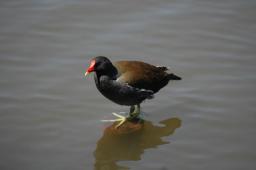 dsc_5614.jpg