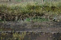 dsc_5616.jpg