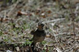 dsc_5627.jpg