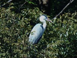 dsc_5639.jpg