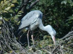 dsc_5640.jpg