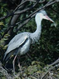 dsc_5641.jpg