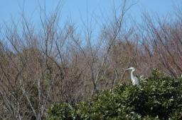 dsc_5642.jpg