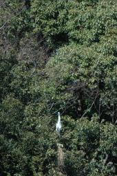dsc_5645.jpg