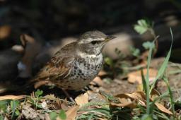 dsc_5655.jpg