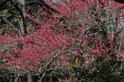 dsc_5658.jpg
