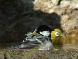 dsc_5666.jpg