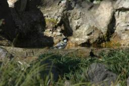 dsc_5667.jpg