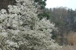 dsc_5913.jpg