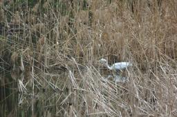 dsc_5928.jpg