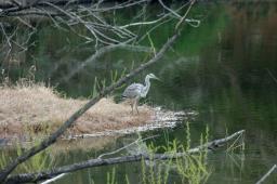dsc_5947.jpg