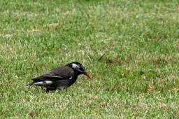 dsc_6469.jpg