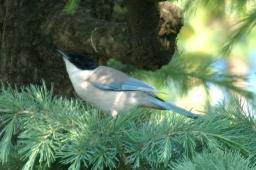 dsc_6778.jpg