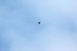 dsc_0644.jpg