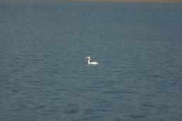 dsc_0652.jpg