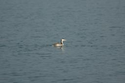 dsc_0653.jpg