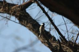 dsc_0670.jpg