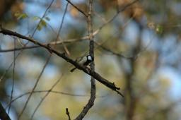 dsc_0683.jpg