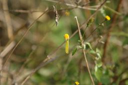 dsc_0708.jpg