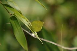 dsc_0709.jpg