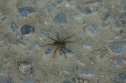 dsc_0725.jpg
