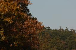 dsc_0748.jpg