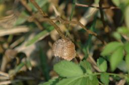 dsc_0751.jpg