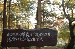 dsc_0773.jpg