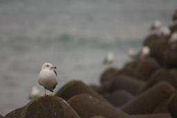 dsc_1051.jpg