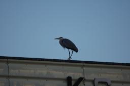 dsc_1144.jpg