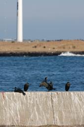 dsc_1157.jpg