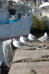 dsc_1160.jpg