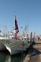 dsc_1167.jpg