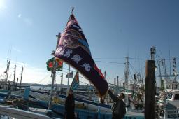 dsc_1169.jpg
